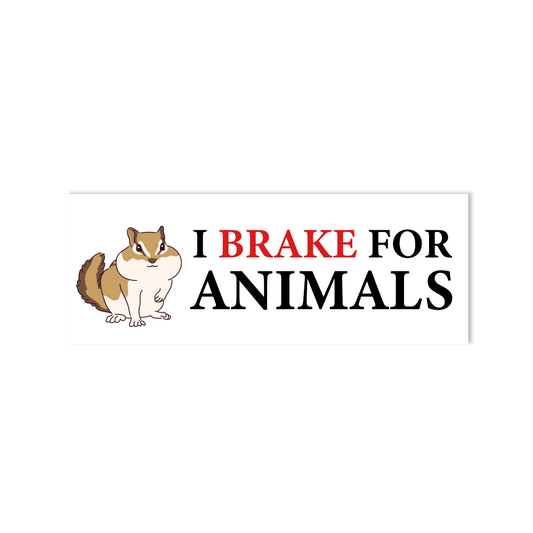 "I Brake For Animals" Cute Chipmunk Bumper Sticker for Cars, Trucks, SUV's - StickerShuttle